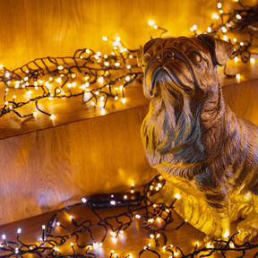 Serie di luci a strisce a LED indossabili con lenti concave chiare 240V Dimmabile per oltre 30000 ore