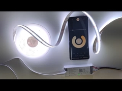 Serie di luci a strisce a LED certificate RoHS a 6,5 piedi di lunghezza con colore bianco caldo