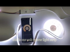 Luce di striscia della PANNOCCHIA