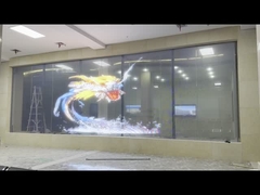 schermo trasparente flessibile - casi di progetto