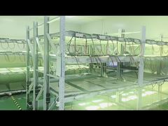 Tempo di produzione fino all'invecchiamento